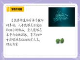 【核心素養(yǎng)】冀人版科學六年級下冊 3.8生物的啟示 同步課件+同步教案+同步練習