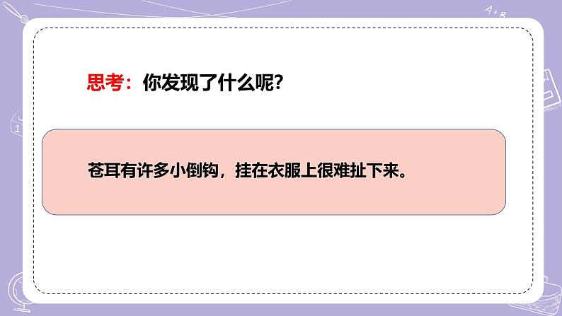 【核心素养】冀人版科学六年级下册 3.8苍耳的启示 同步课件第7页