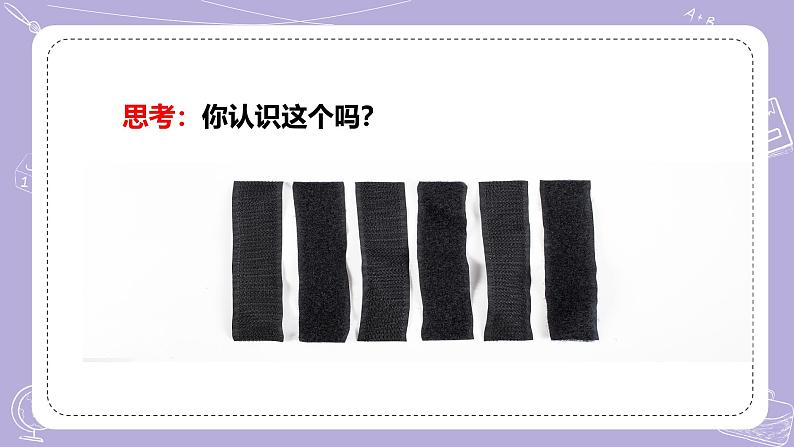 【核心素养】冀人版科学六年级下册 3.8苍耳的启示 同步课件第8页