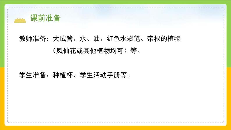 教科版科学四下 1.3 《种子长出了根》课件第3页