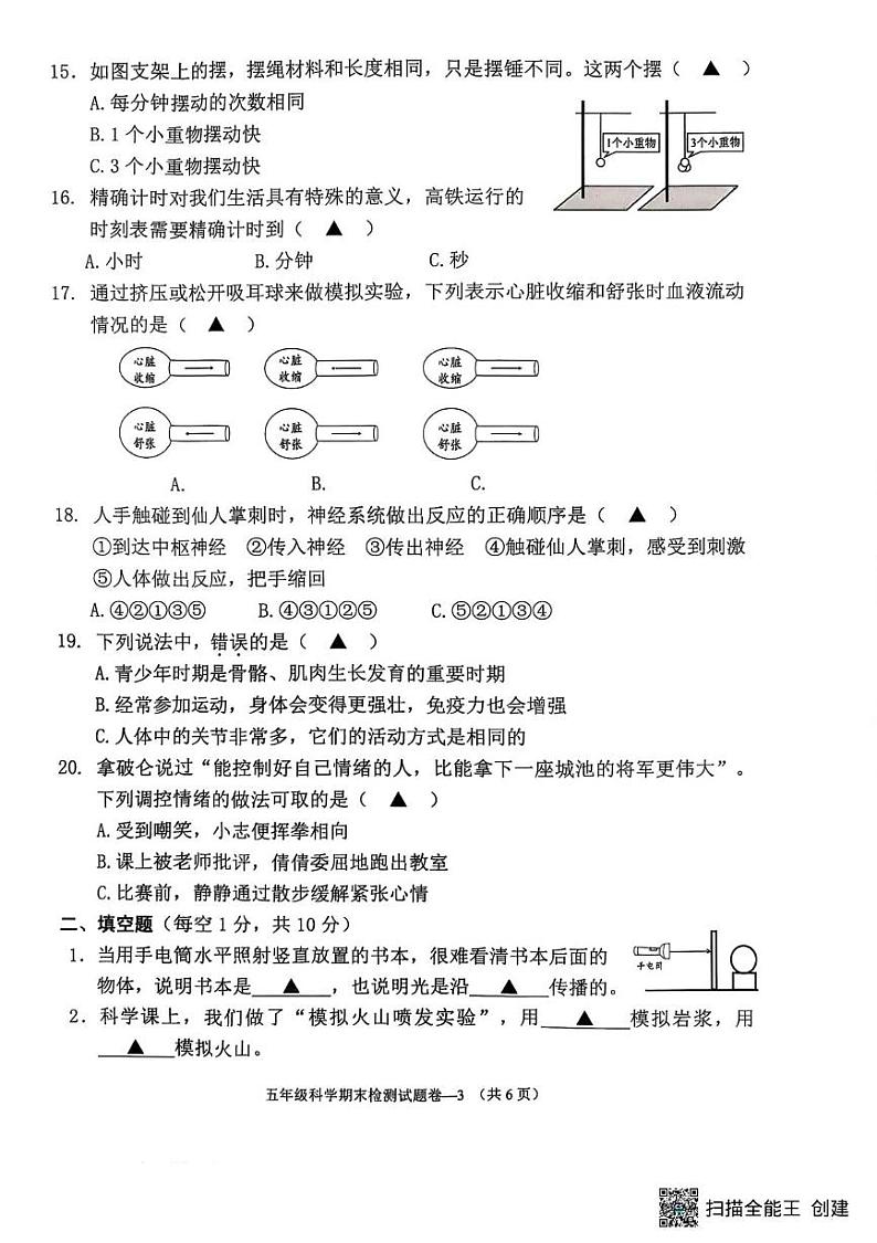 浙江省金华市金东区2024-2025五年级上学期期末考试科学试题第3页