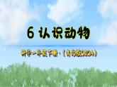 6《认识动物》（课件）2024-2025学年科学一年级下册（青岛版2024）