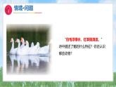 6《认识动物》（课件）2024-2025学年科学一年级下册（青岛版2024）