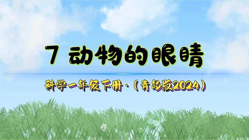 7《动物的眼睛》（课件）2024-2025学年科学一年级下册（青岛版2024）第2页