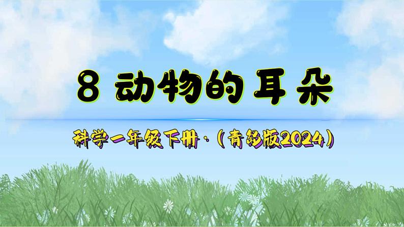 8《动物的耳朵》（课件）2024-2025学年科学一年级下册（青岛版2024）第2页