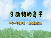 9《动物的鼻子》（课件）2024-2025学年科学一年级下册（青岛版2024）