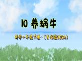 10《养蜗牛》（课件）2024-2025学年科学一年级下册（青岛版2024）