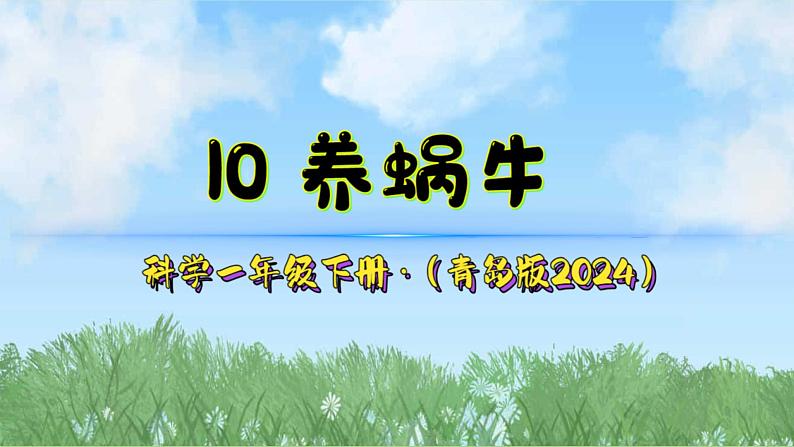 10《养蜗牛》（课件）2024-2025学年科学一年级下册（青岛版2024）第2页