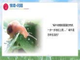 10《养蜗牛》（课件）2024-2025学年科学一年级下册（青岛版2024）