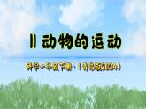 11《动物的运动》（课件）2024-2025学年科学一年级下册（青岛版2024）