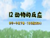 12《动物的反应》（课件）2024-2025学年科学一年级下册（青岛版2024）