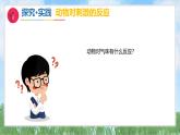 12《动物的反应》（课件）2024-2025学年科学一年级下册（青岛版2024）