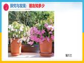 1《认识植物》（课件）科学一年级下册（冀人版2025春）