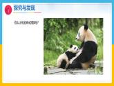 2《认识动物》（课件）科学一年级下册（冀人版2025春）