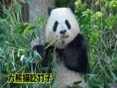 2《认识动物》（课件）科学一年级下册（冀人版2025春）