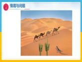3《比较植物和动物》（课件）科学一年级下册（冀人版2025春）