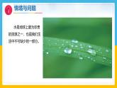 5《认识水》（课件）科学一年级下册（冀人版2025春）