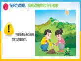 7《动植物的家》（课件）科学一年级下册（冀人版2025春）