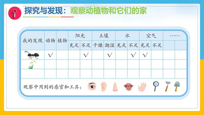 7《动植物的家》（课件）科学一年级下册（冀人版2025春）第5页