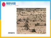 11《和谐共生》（课件）科学一年级下册（冀人版2025春）