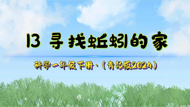 13《寻找蚯蚓的家》（课件）2024-2025学年科学一年级下册（青岛版2024）第2页