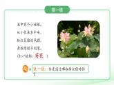 第1課 觀察物體的特征 課件 小學(xué)科學(xué)教科版（2024）一年級下冊