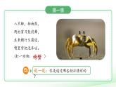 第1課 觀察物體的特征 課件 小學(xué)科學(xué)教科版（2024）一年級下冊