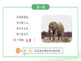 第1課 觀察物體的特征 課件 小學(xué)科學(xué)教科版（2024）一年級下冊