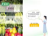 第2課 給物體分類 課件 小學(xué)科學(xué)教科版（2024）一年級下冊