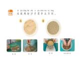 小學科學新蘇教版一年級下冊第1單元第2課《玩沙子》教學課件（2025春版）