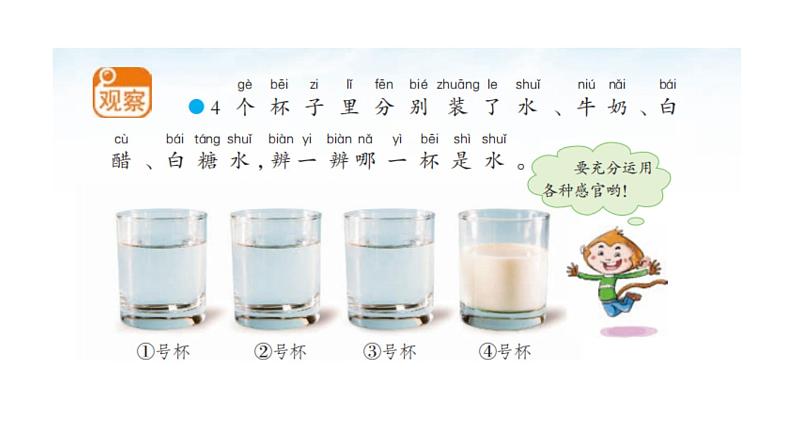 小学科学新苏教版一年级下册第2单元第4课《水是什么样的？》教学课件（2025春版）第3页