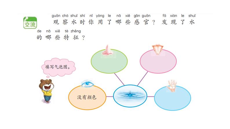 小学科学新苏教版一年级下册第2单元第4课《水是什么样的？》教学课件（2025春版）第5页