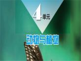 小學科學新蘇教版一年級下冊第4單元第10課《形形色色的動物》教學課件（2025春版）