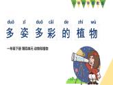 小學科學新蘇教版一年級下冊第4單元第11課《多姿多彩的植物》教學課件（2025春版）