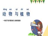 小學(xué)科學(xué)新蘇教版一年級下冊第4單元第12課《動物與植物》教學(xué)課件（2025春版）