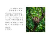 小學科學新蘇教版一年級下冊專項學習《像科學家那樣（沈括）》教學課件（2025春版）