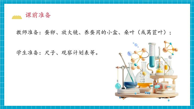 教科版科学三下 2.1 《迎接蚕宝宝的到来》课件第4页