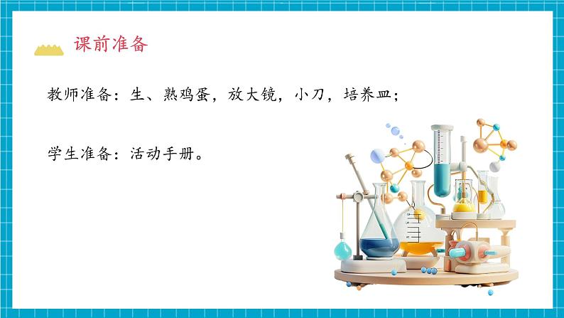 教科版科学三下 2.2 《认识其他动物的卵》课件第4页