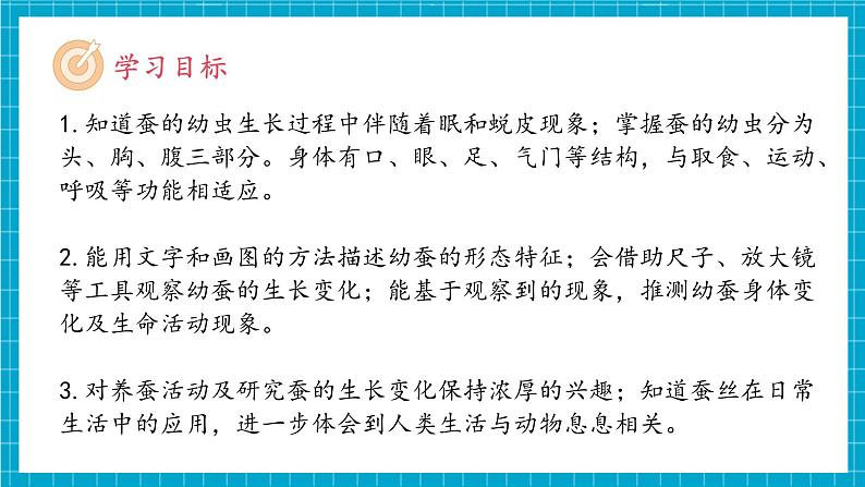 教科版科学三下 2.3 《蚕长大了》课件第3页