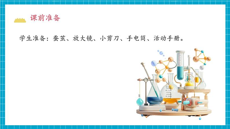 教科版科学三下 2.4 《蚕变了新模样》课件第4页