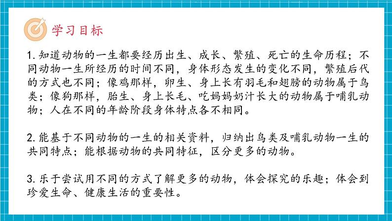 教科版科学三下 2.8 《动物的一生》课件第3页