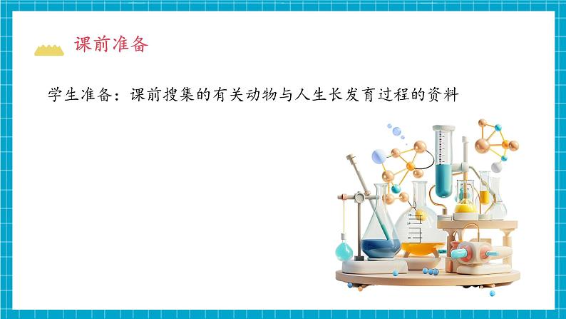 教科版科学三下 2.8 《动物的一生》课件第4页