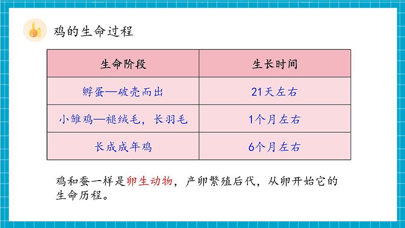 教科版科学三下 2.8 《动物的一生》课件第8页