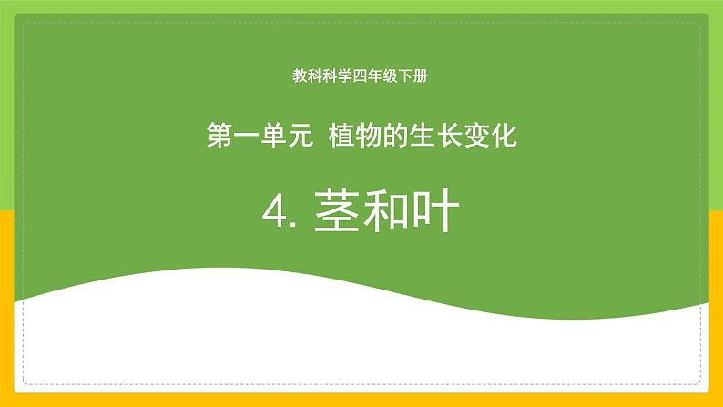 教科版科学四下 1.4 《茎和叶》课件第1页