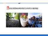 新蘇教版一年級科學下冊第一單元第1課《撿石頭》課件