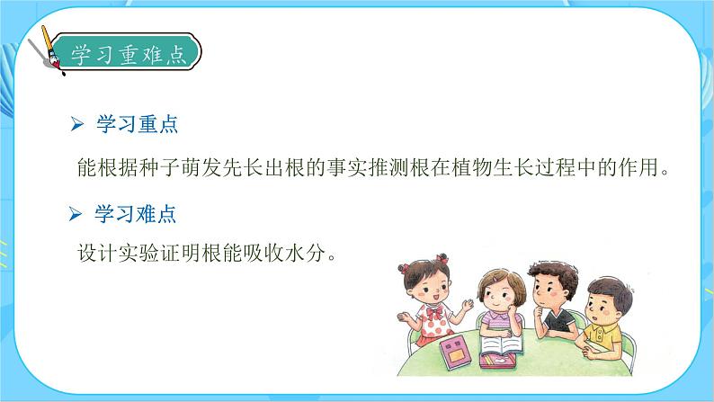 1.3 种子长出了根（教学课件）（教科版）第5页