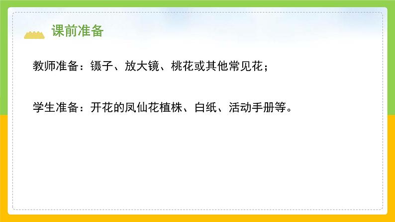 教科版科学四下 1.5 《凤仙花开花了》课件第3页