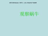 4观察蜗牛 课件