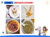 大象版（2017秋）科學六年級下冊 3.1《糖的變化》（課件）