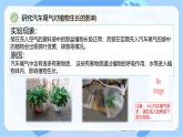 【核心素養(yǎng)】蘇教版科學(xué)六年級(jí)下冊(cè) 14《清新的空氣》課件PPT+教案